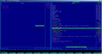 1366x731