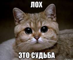 598x496