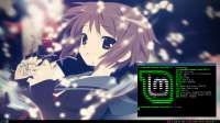 1366x768