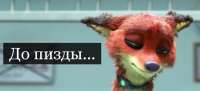 1021x467