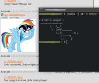 570x480