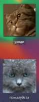 180x467
