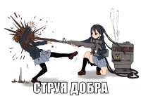 813x558