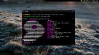 1366x768
