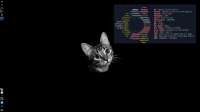 1366x768