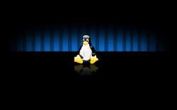 1440x900