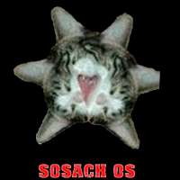 500x500