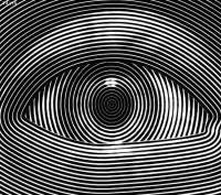 604x537