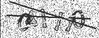 200x78