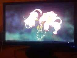 480x360