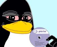 602x499
