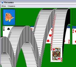 448x398