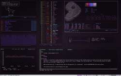 1280x800
