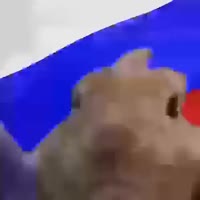 500x500