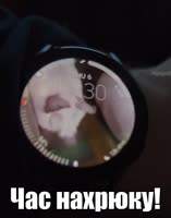 480x608