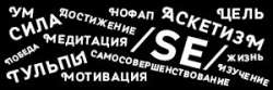 300x100