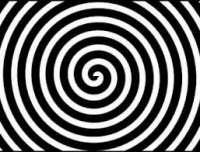 257x196