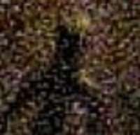 231x225