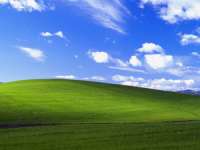 300x225
