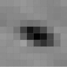 319x322