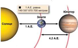 519x321