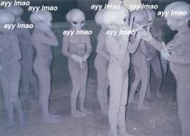 500x361