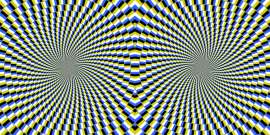 1000x500