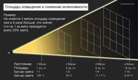 490x287