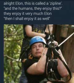 432x482