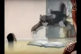 540x360