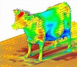 800x702