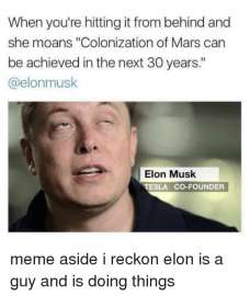 500x592