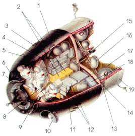 300x302