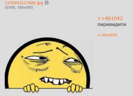447x325