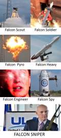 341x767