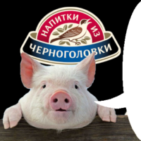 kc2e7hzR.жипег