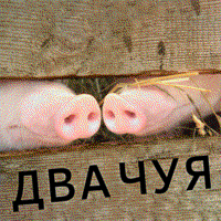 3EIKjOxM.жипег