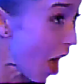 mBiboGr3.жипег