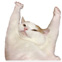 512x512