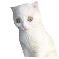 512x512