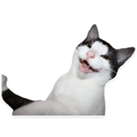 512x512