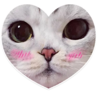 512x512