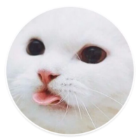 512x512
