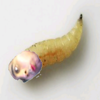 W4uIwmeG.жипег