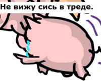 512x416