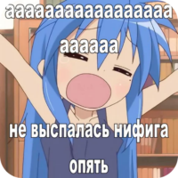 40DDpP9q.жипег