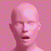 256x256