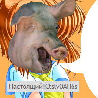 jqScY3PD.жипег