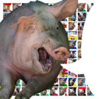 350x350