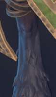 250x428